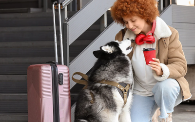 Benefits of Overnight Pet Boarding for Travel