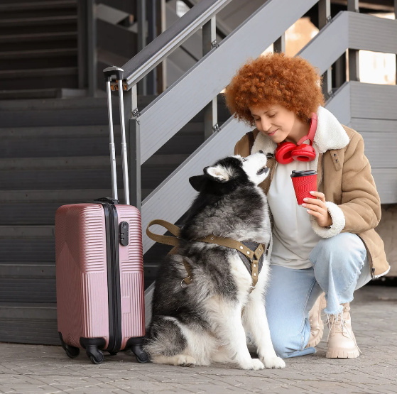 Benefits of Overnight Pet Boarding for Travel