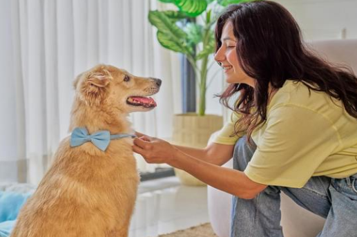 The Difference Between Pet Boarding and Pet Sitting