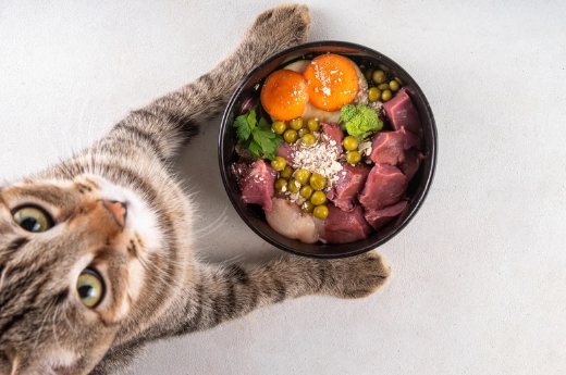 Nutrition Meets Grooming: Foods That Keep Coats Shiny
