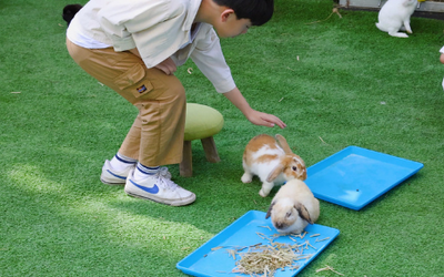 Forever Friends: How Pets Bond During Their Stay