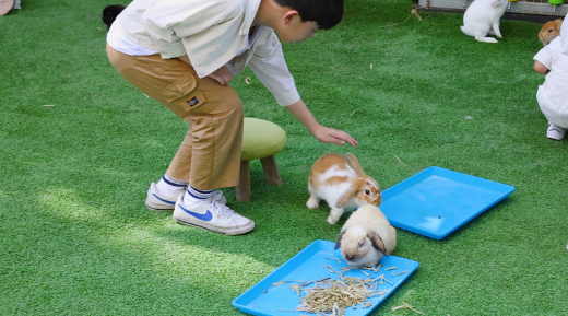 Forever Friends: How Pets Bond During Their Stay