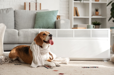 Holiday Boarding Prep: Ensuring Pets Enjoy Their Fall Staycation