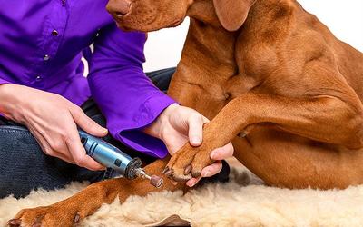 DENTAL AND NAIL CARE