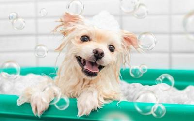 SKIN & BATH TREATMEANTS